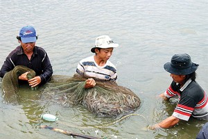 Bảo hiểm nông nghiệp nặng gánh rủi ro